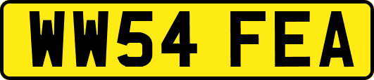 WW54FEA