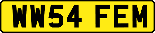 WW54FEM