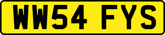 WW54FYS