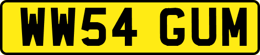 WW54GUM