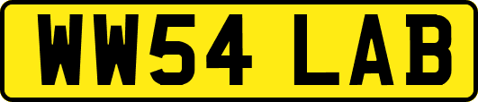 WW54LAB