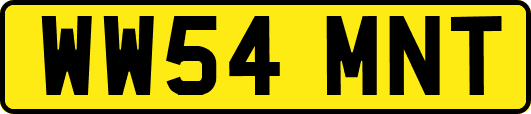 WW54MNT