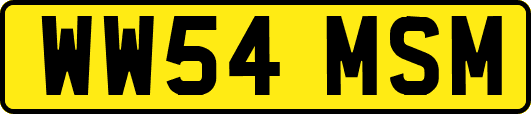 WW54MSM