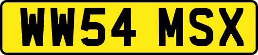 WW54MSX