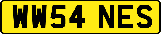 WW54NES