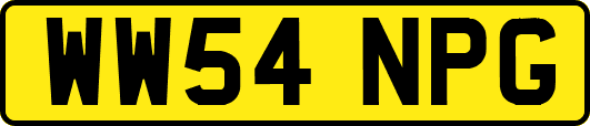 WW54NPG