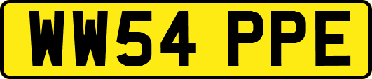 WW54PPE