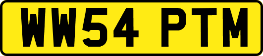 WW54PTM