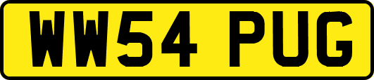 WW54PUG