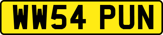 WW54PUN
