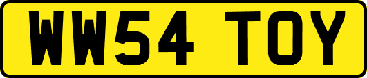 WW54TOY