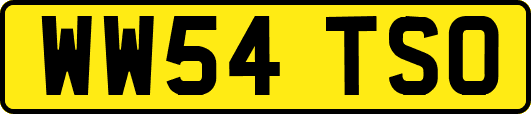 WW54TSO
