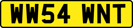 WW54WNT
