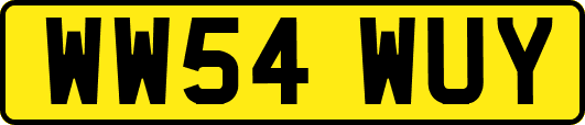 WW54WUY