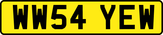 WW54YEW