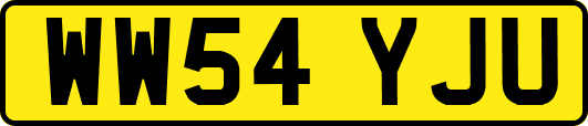 WW54YJU