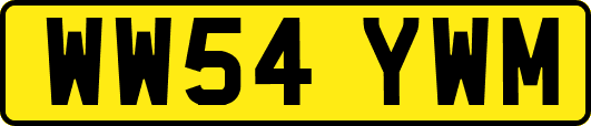 WW54YWM