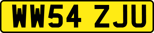 WW54ZJU
