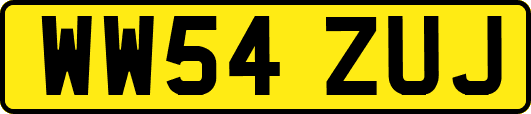 WW54ZUJ