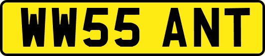 WW55ANT