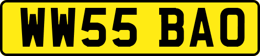 WW55BAO