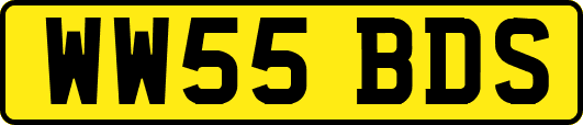 WW55BDS