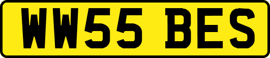 WW55BES