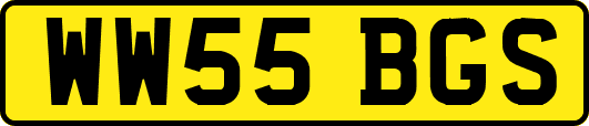 WW55BGS
