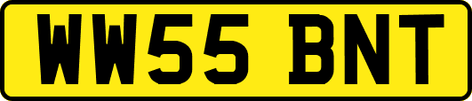 WW55BNT
