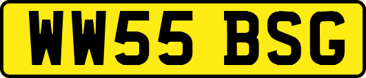 WW55BSG