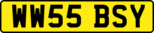 WW55BSY