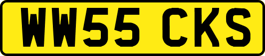 WW55CKS