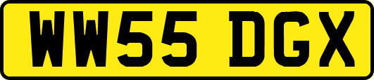 WW55DGX