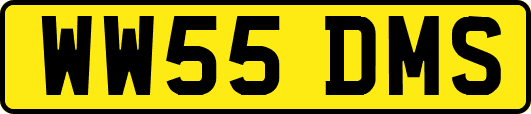 WW55DMS
