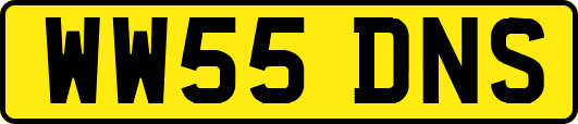WW55DNS