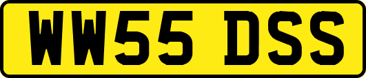 WW55DSS