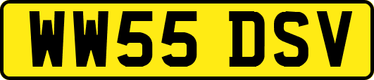 WW55DSV