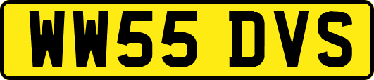 WW55DVS