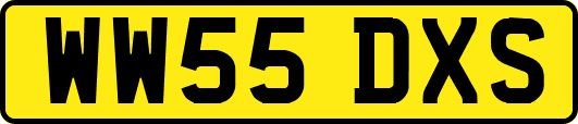 WW55DXS
