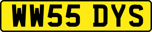 WW55DYS