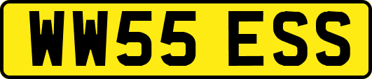 WW55ESS