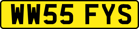 WW55FYS