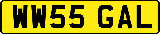 WW55GAL