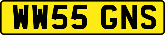 WW55GNS