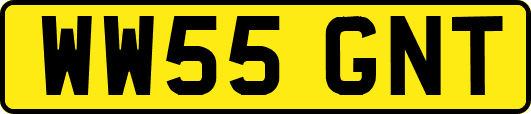 WW55GNT