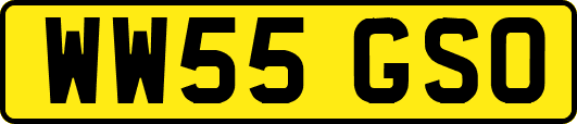 WW55GSO