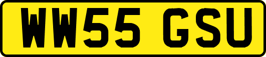WW55GSU