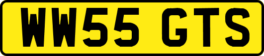 WW55GTS