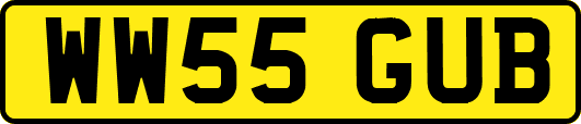 WW55GUB
