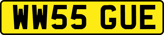 WW55GUE